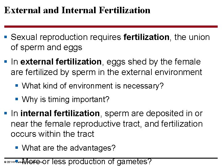 External and Internal Fertilization § Sexual reproduction requires fertilization, the union of sperm and