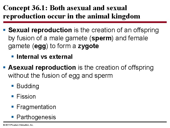 Concept 36. 1: Both asexual and sexual reproduction occur in the animal kingdom §