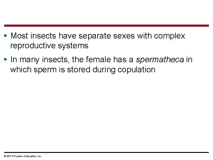 § Most insects have separate sexes with complex reproductive systems § In many insects,
