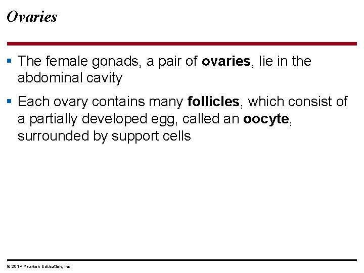 Ovaries § The female gonads, a pair of ovaries, lie in the abdominal cavity