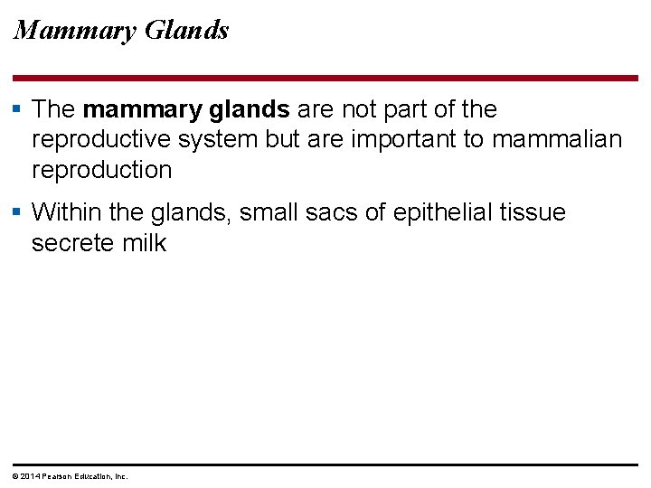 Mammary Glands § The mammary glands are not part of the reproductive system but