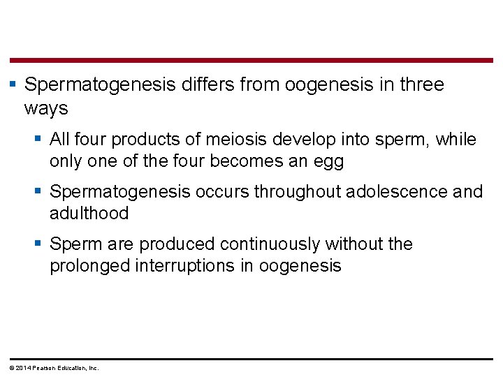 § Spermatogenesis differs from oogenesis in three ways § All four products of meiosis