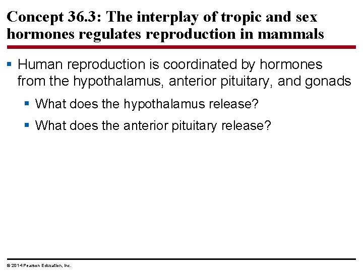 Concept 36. 3: The interplay of tropic and sex hormones regulates reproduction in mammals