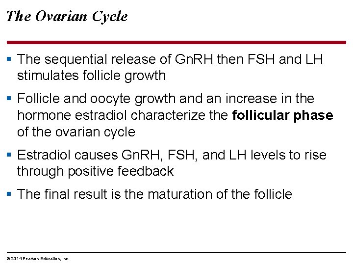 The Ovarian Cycle § The sequential release of Gn. RH then FSH and LH