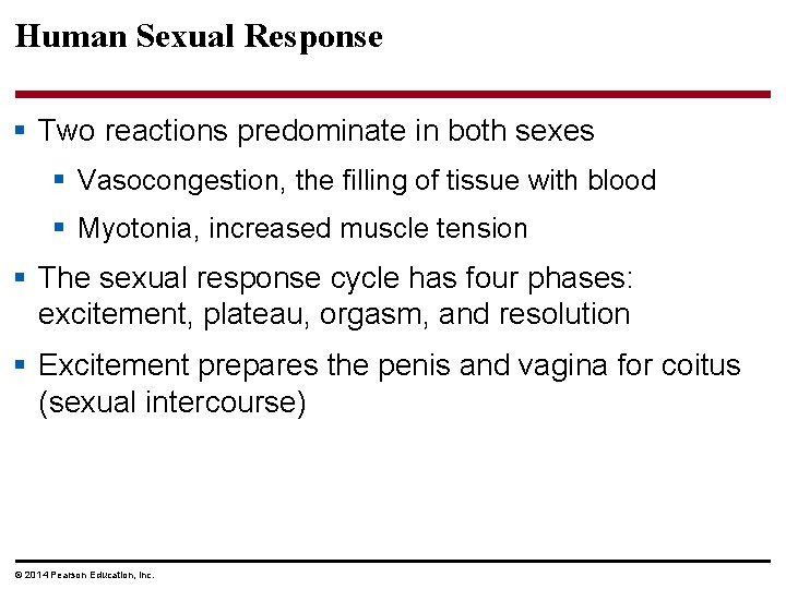 Human Sexual Response § Two reactions predominate in both sexes § Vasocongestion, the filling