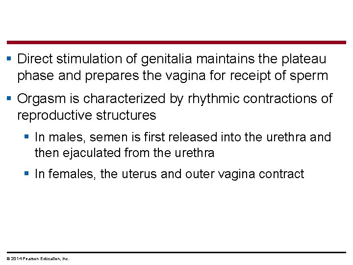 § Direct stimulation of genitalia maintains the plateau phase and prepares the vagina for