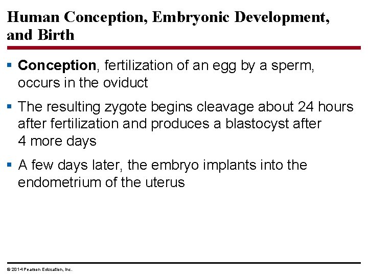 Human Conception, Embryonic Development, and Birth § Conception, fertilization of an egg by a