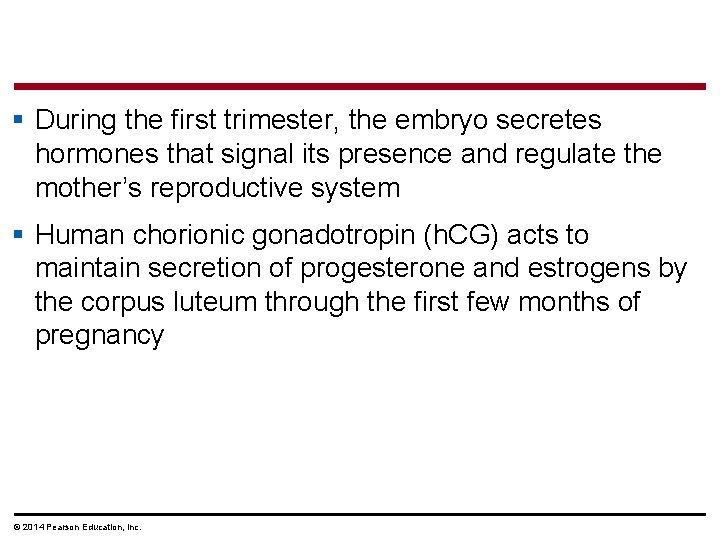§ During the first trimester, the embryo secretes hormones that signal its presence and