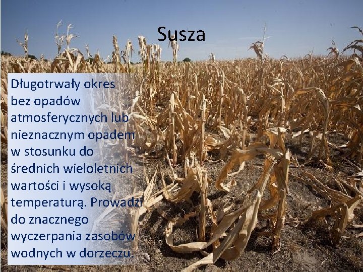 Susza Długotrwały okres bez opadów atmosferycznych lub nieznacznym opadem w stosunku do średnich wieloletnich