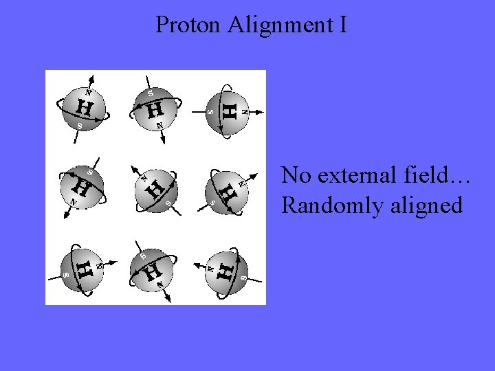 Proton Alignment I No external field… Randomly aligned 