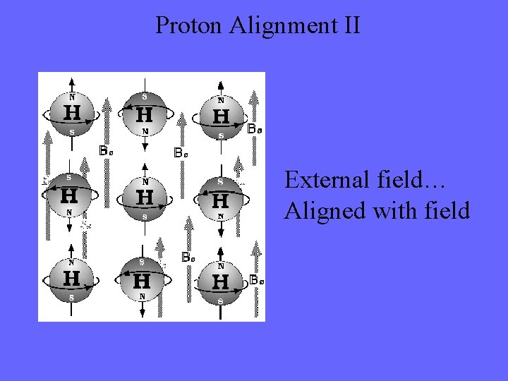 Proton Alignment II External field… Aligned with field 
