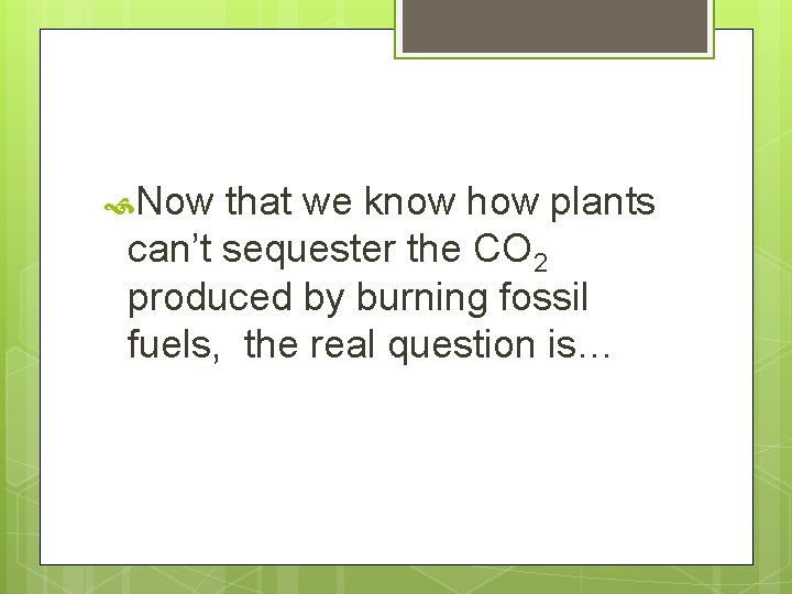  Now that we know how plants can’t sequester the CO 2 produced by