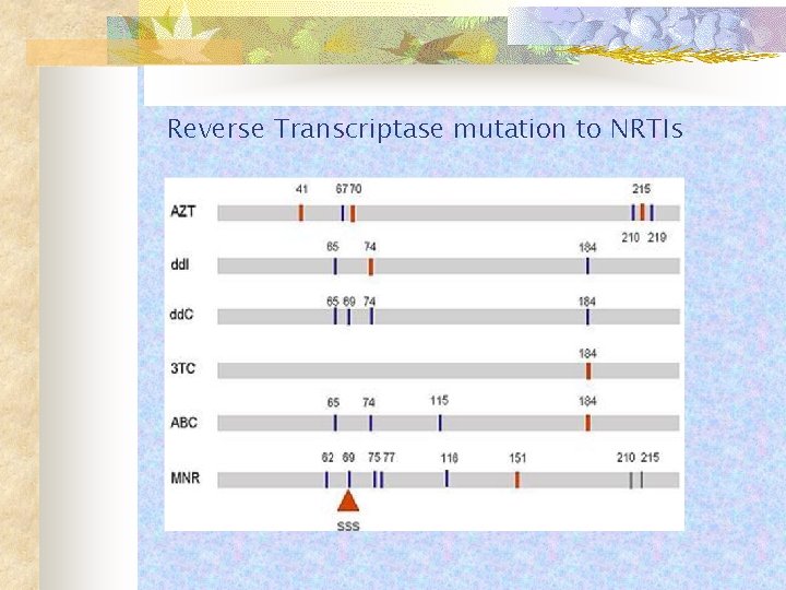 Reverse Transcriptase mutation to NRTIs 