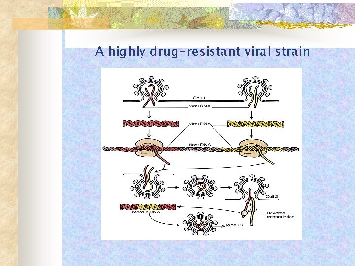 A highly drug-resistant viral strain 