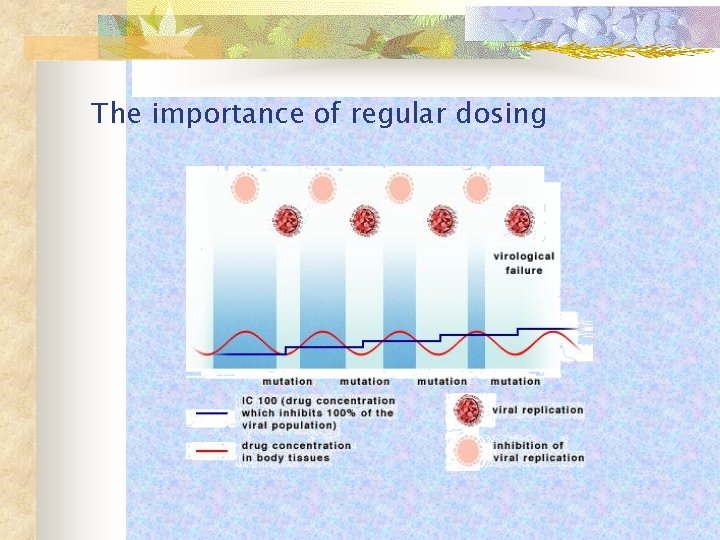 The importance of regular dosing 