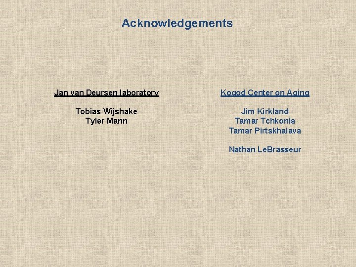 Acknowledgements Jan van Deursen laboratory Kogod Center on Aging Tobias Wijshake Tyler Mann Jim