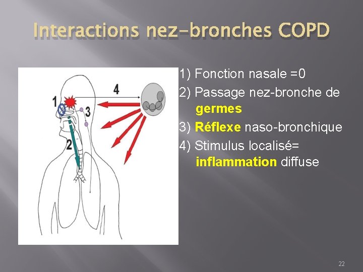 Interactions nez-bronches COPD 1) Fonction nasale =0 2) Passage nez-bronche de germes 3) Réflexe
