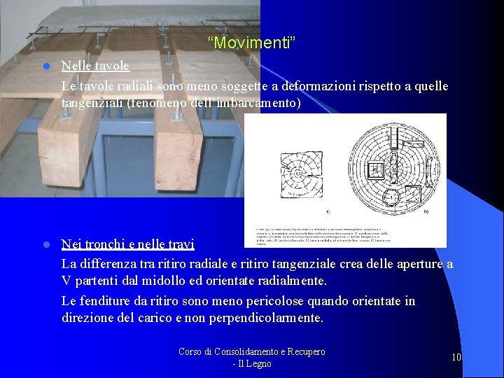 “Movimenti” l Nelle tavole Le tavole radiali sono meno soggette a deformazioni rispetto a