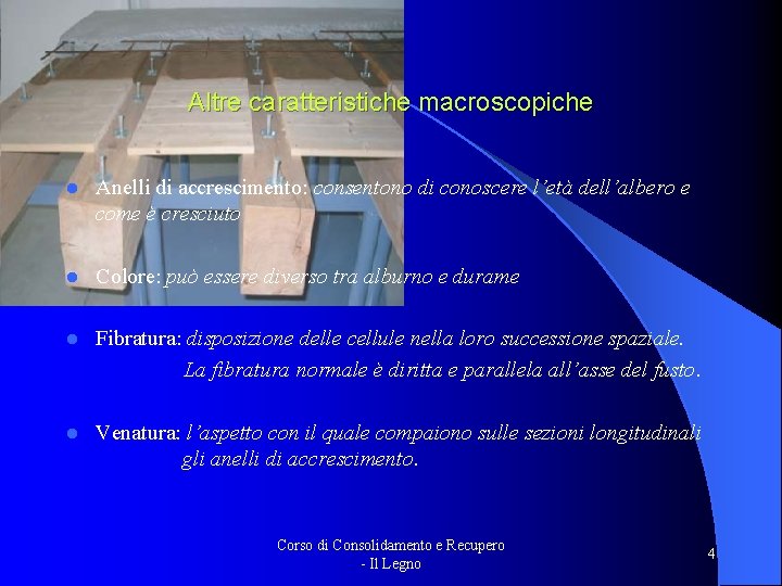 Altre caratteristiche macroscopiche l Anelli di accrescimento: consentono di conoscere l’età dell’albero e come