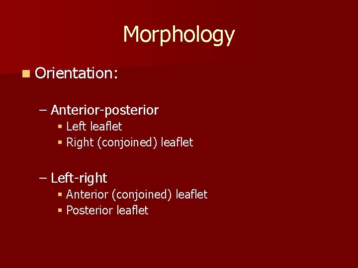 Morphology n Orientation: – Anterior-posterior § Left leaflet § Right (conjoined) leaflet – Left-right