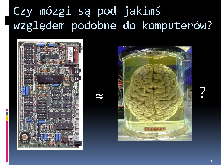 Czy mózgi są pod jakimś względem podobne do komputerów? ≈ ? 4 