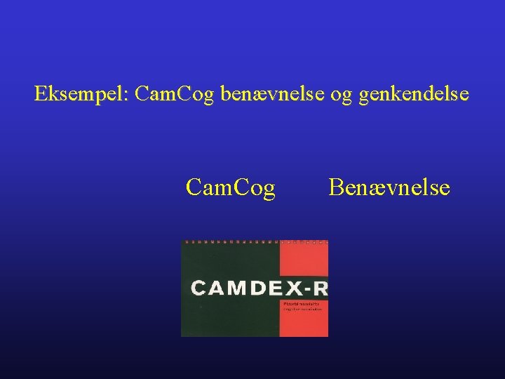 Eksempel: Cam. Cog benævnelse og genkendelse Cam. Cog Benævnelse 
