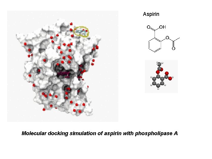 Aspirin Molecular docking simulation of aspirin with phospholipase A 
