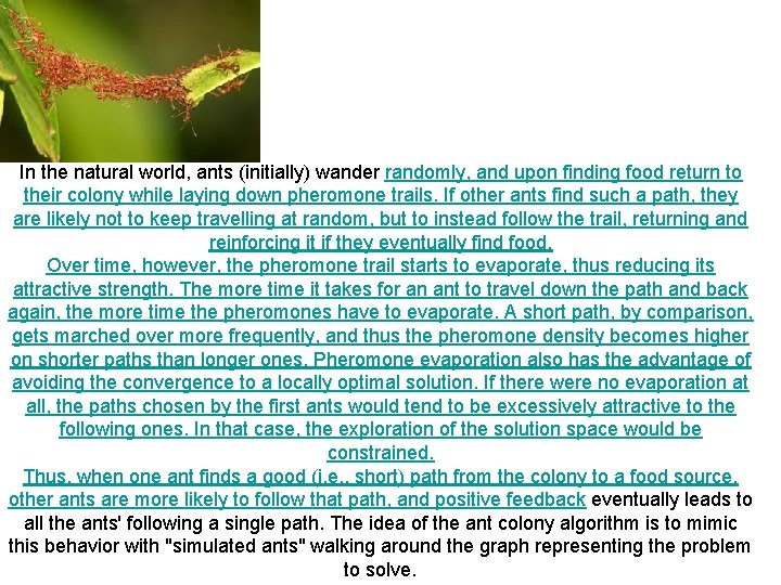 In the natural world, ants (initially) wander randomly, and upon finding food return to