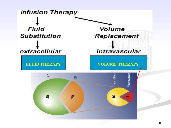 FLUID THERAPY VOLUME THERAPY 8 