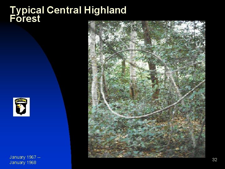 Typical Central Highland Forest January 1967 -January 1968 32 