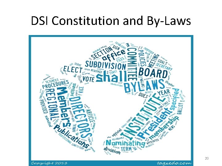 DSI Constitution and By-Laws 20 