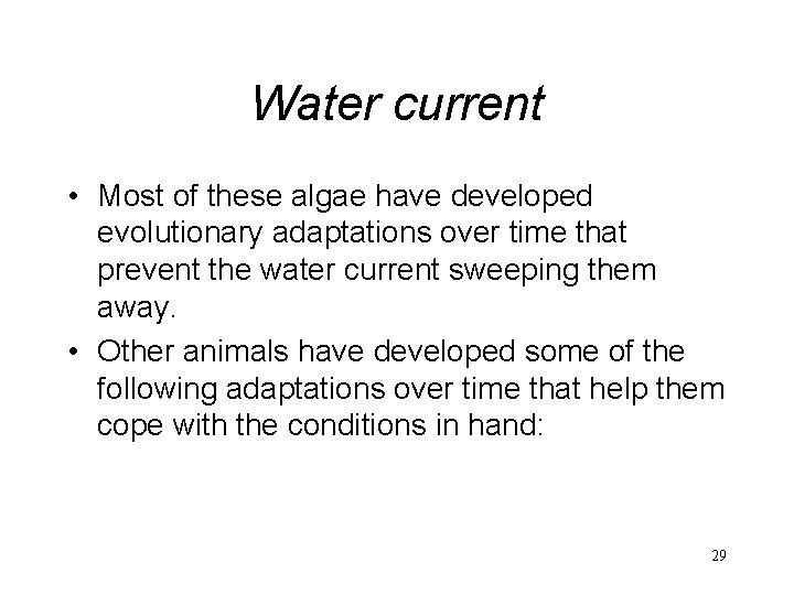 Water current • Most of these algae have developed evolutionary adaptations over time that