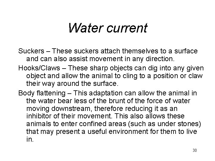 Water current Suckers – These suckers attach themselves to a surface and can also