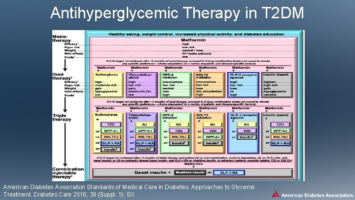 Antihyperglycemic Therapy in T 2 DM American Diabetes Association Standards of Medical Care in