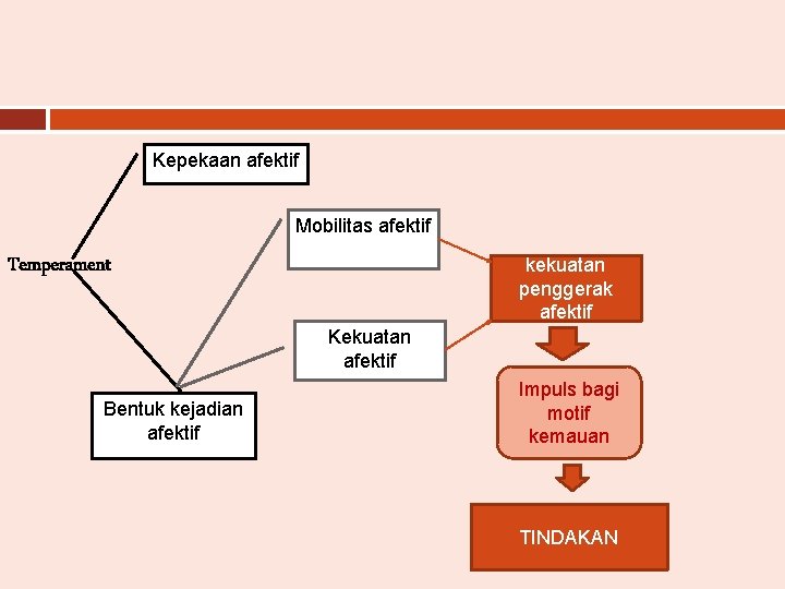 Kepekaan afektif Mobilitas afektif Temperament kekuatan penggerak afektif Kekuatan afektif Bentuk kejadian afektif Impuls