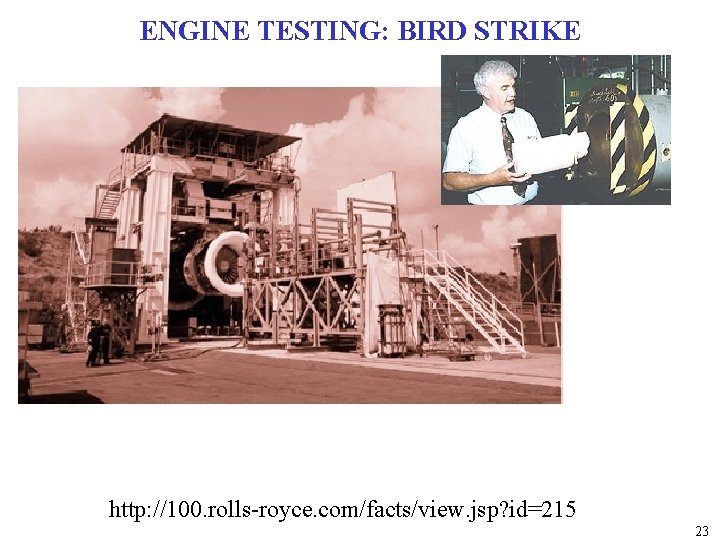 ENGINE TESTING: BIRD STRIKE http: //100. rolls-royce. com/facts/view. jsp? id=215 23 