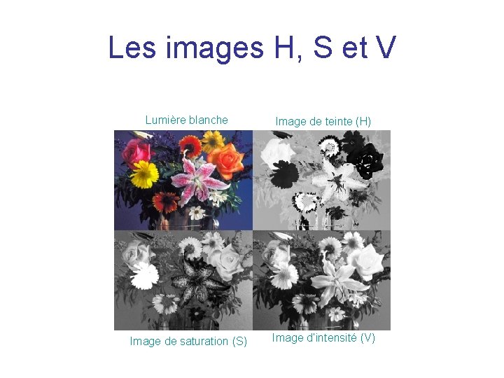 Les images H, S et V Lumière blanche Image de teinte (H) Image de Les images H, S et V Lumière blanche Image de teinte (H) Image de
