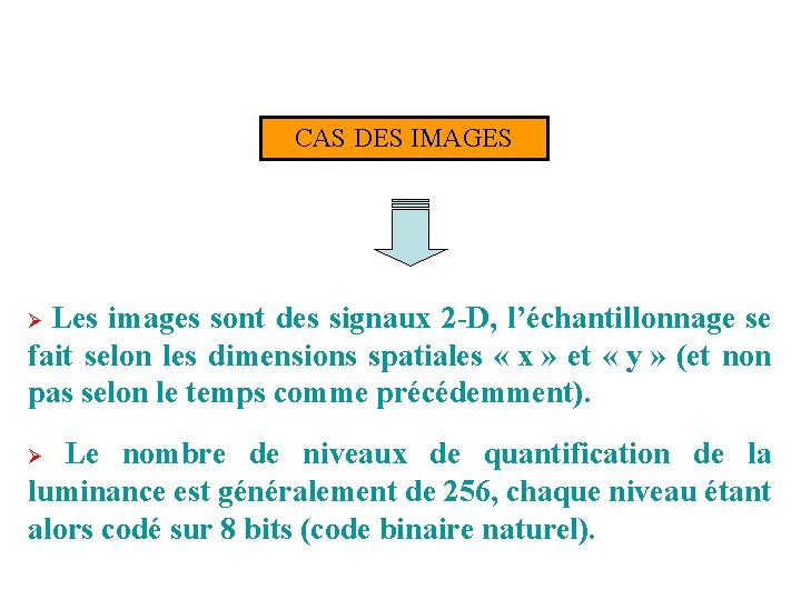 CAS DES IMAGES Ø Les images sont des signaux 2 -D, l’échantillonnage se fait CAS DES IMAGES Ø Les images sont des signaux 2 -D, l’échantillonnage se fait