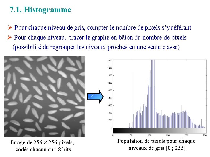 7. 1. Histogramme Ø Pour chaque niveau de gris, compter le nombre de pixels 7. 1. Histogramme Ø Pour chaque niveau de gris, compter le nombre de pixels