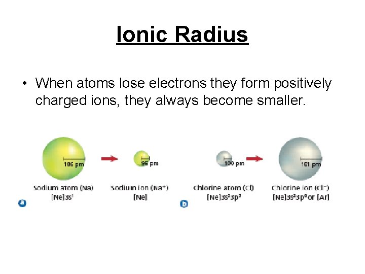 Ionic Radius • When atoms lose electrons they form positively charged ions, they always