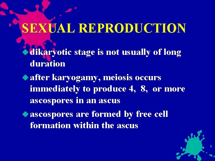 SEXUAL REPRODUCTION dikaryotic stage is not usually of long duration after karyogamy, meiosis occurs