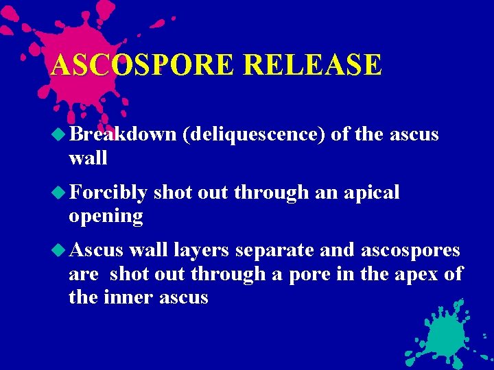 ASCOSPORE RELEASE Breakdown wall Forcibly opening Ascus (deliquescence) of the ascus shot out through