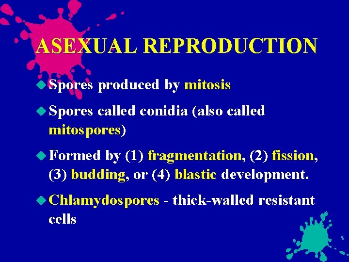 ASEXUAL REPRODUCTION Spores produced by mitosis Spores called conidia (also called mitospores) Formed by