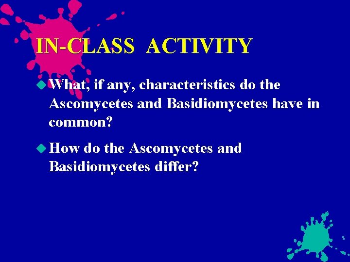 IN-CLASS ACTIVITY What, if any, characteristics do the Ascomycetes and Basidiomycetes have in common?