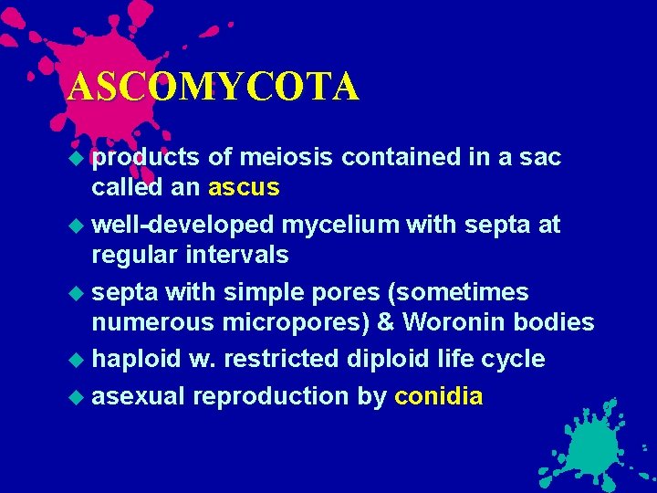ASCOMYCOTA products of meiosis contained in a sac called an ascus well-developed mycelium with