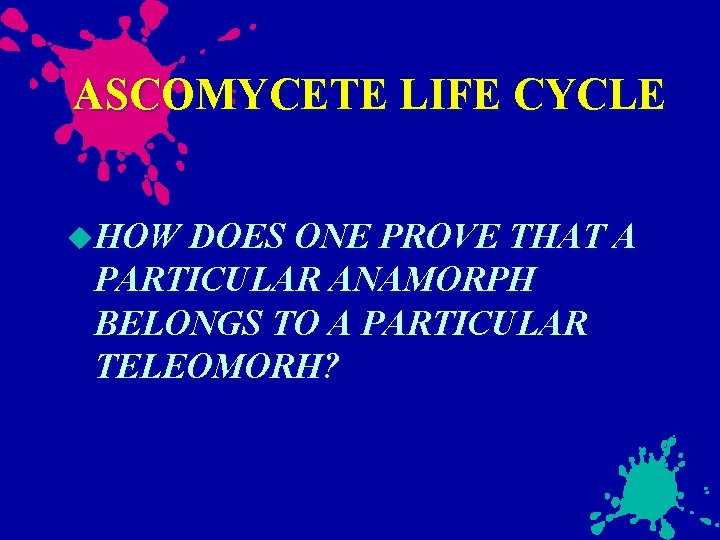 ASCOMYCETE LIFE CYCLE HOW DOES ONE PROVE THAT A PARTICULAR ANAMORPH BELONGS TO A