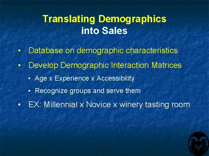 Translating Demographics into Sales • Database on demographic characteristics • Develop Demographic Interaction Matrices