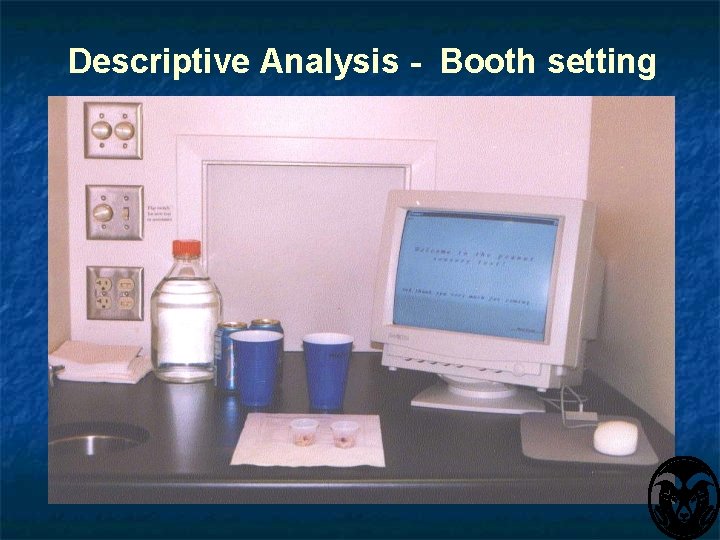 Descriptive Analysis - Booth setting 