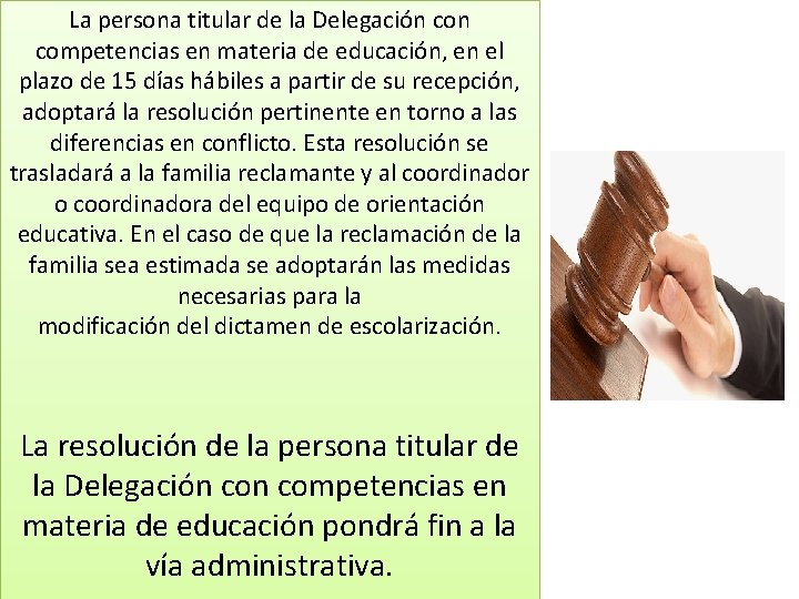 La persona titular de la Delegación competencias en materia de educación, en el plazo