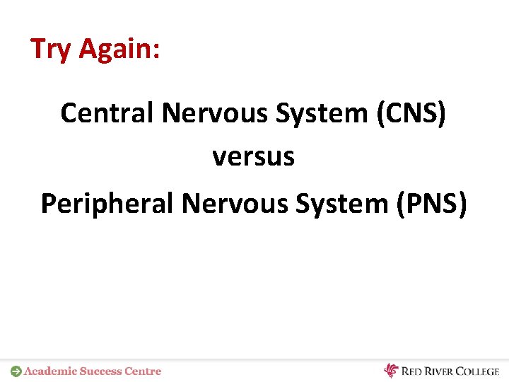 Try Again: Central Nervous System (CNS) versus Peripheral Nervous System (PNS) 